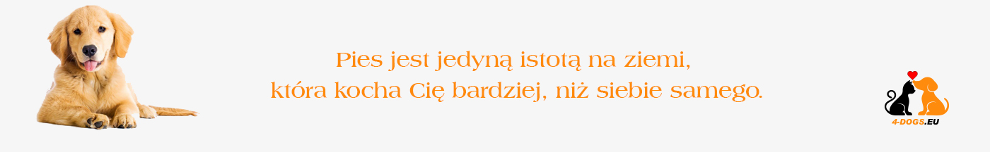 baner_strona_glowna_1